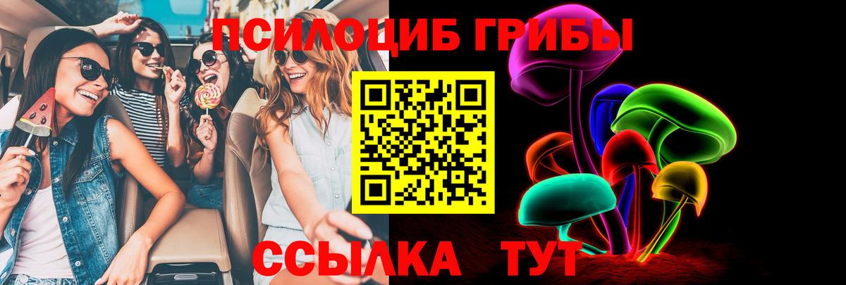 Галлюциногенные грибы Psilocybine cubensis  Вход с VPN  Благодарный 